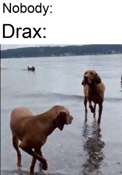 I have mastered the ability to stand so still