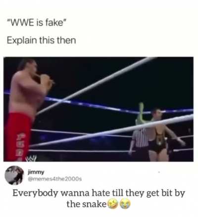 Is it fake ..is it real...i guess nobody will know