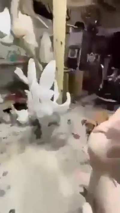Familiar 