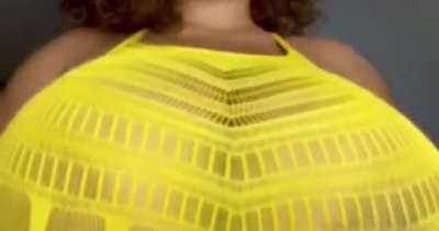 Huge Yellow tits