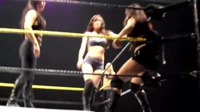 Aj Lee FCW