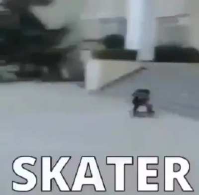 🛹