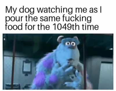 FOOD is FOOD