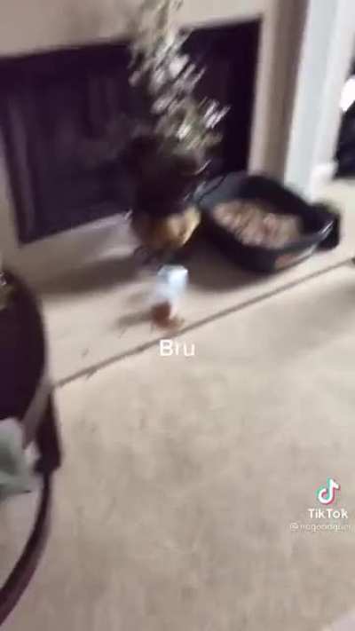 Felt like this belongs here (op:@nogoodguel on tt)
