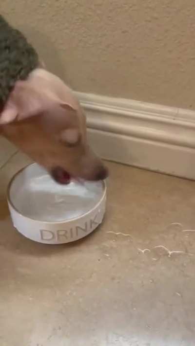 Very interesting way to drink