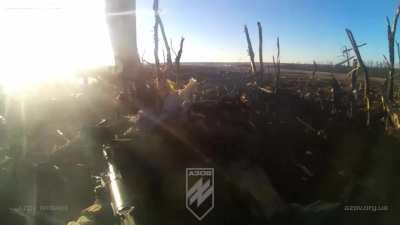Video showing soldiers of the 12th special purpose brigade 