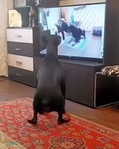 Exercise derp