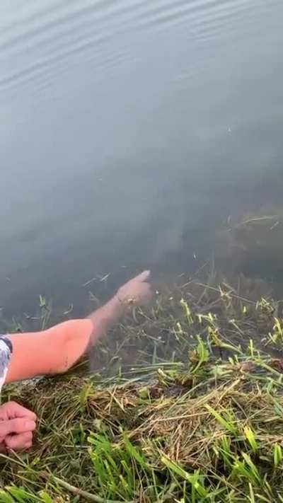 Hand fishing