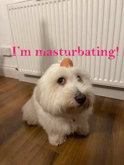 Nsturhebstingnsh egdgs