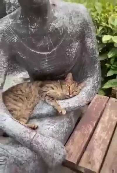 Удобно устро<wbr>ился