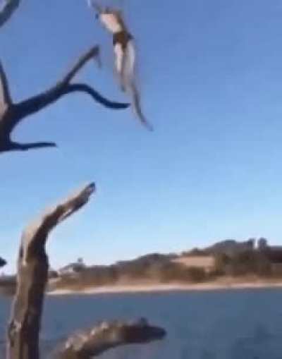 If 2020 were a day at the lake.