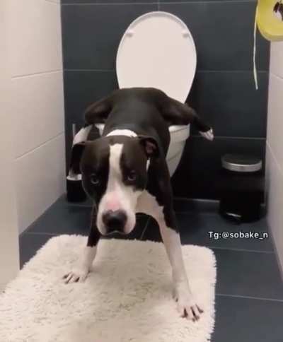 Is it comfortable for you?