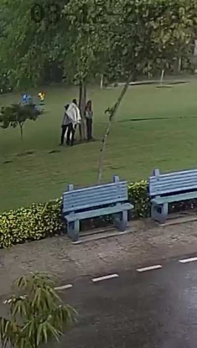 lightning strike multiple people under a tree