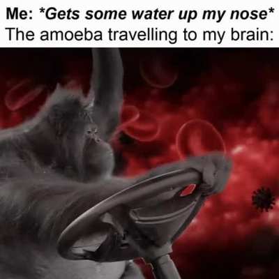 Luckily I’m safe, it's gonna starve