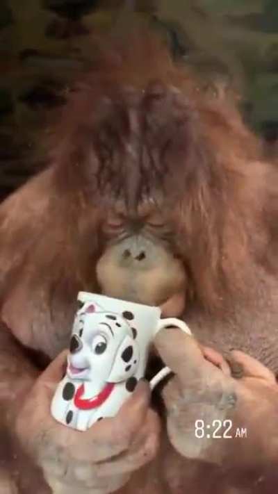Cabeludo tomando café no começo das lives