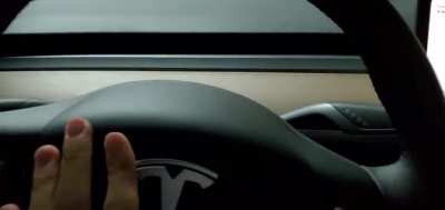 I just found this today on my Tesla and I love it!