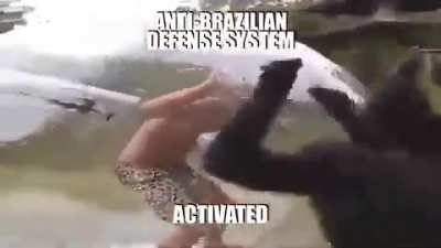 Seguridad ante todo 👌
