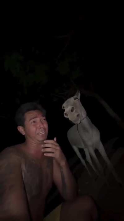 Advinha o DDD