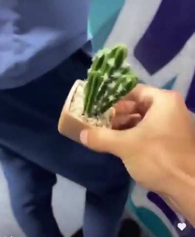 Ah