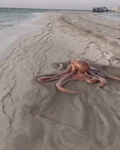 [Art] Inspiration for character nightmare fuel.
