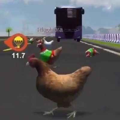 Carreras de pollos