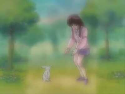 “Not because you are a rabbit”