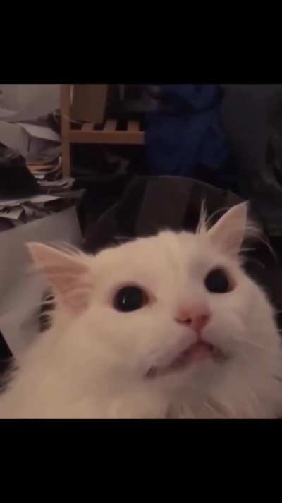 aah