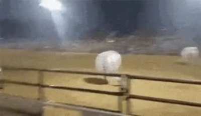 Soccerodeo