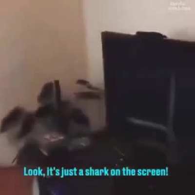 it's just a game