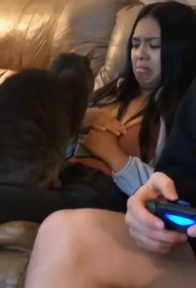 Cats can always spot the non cat person.