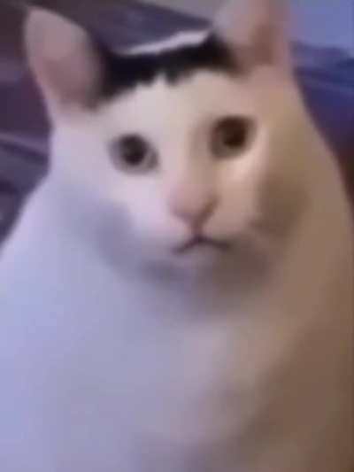 Huh?