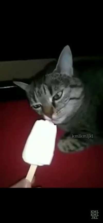 EEEEEEEEEE