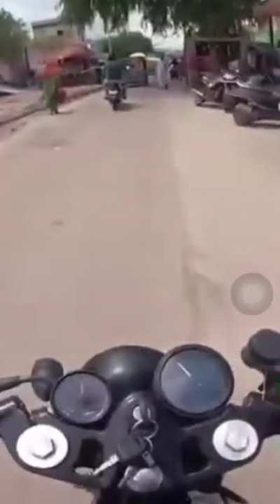 Danger level: India. Cow chasing motorbike.