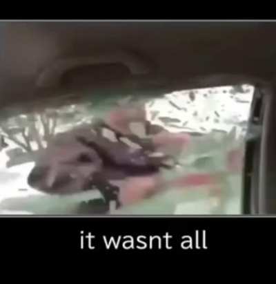 Pyro fans finding Turkey Tom