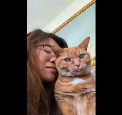 Cat no like kis