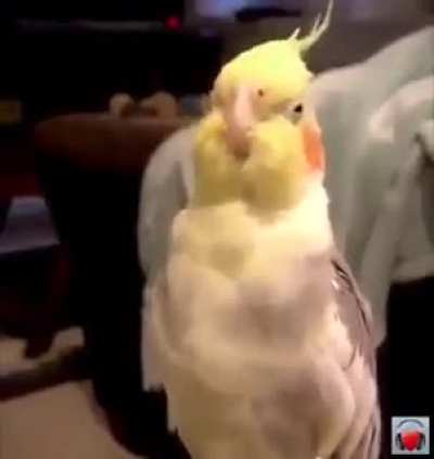 Певец