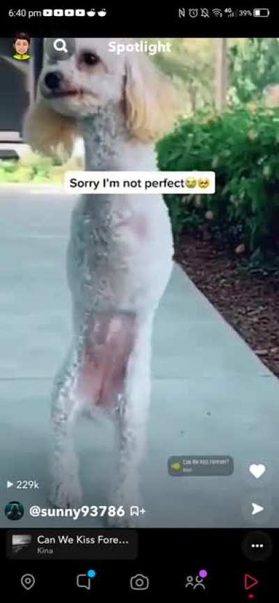 Using a disabled dog for likes