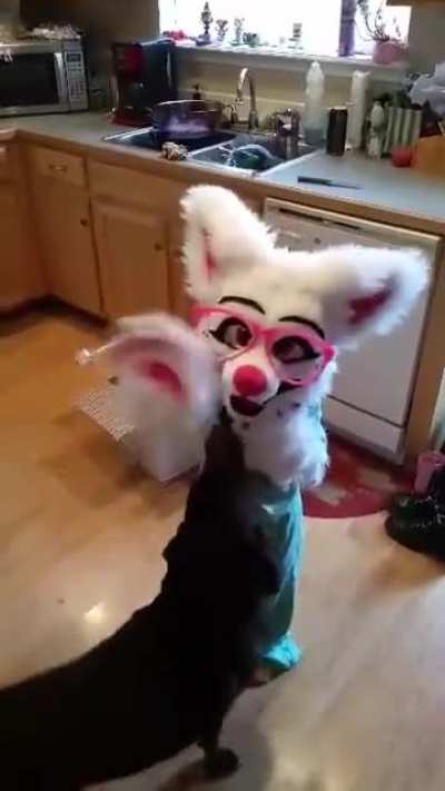 Grooming a kid