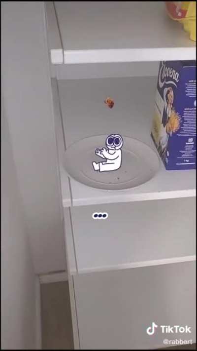 Where is my cookie ?