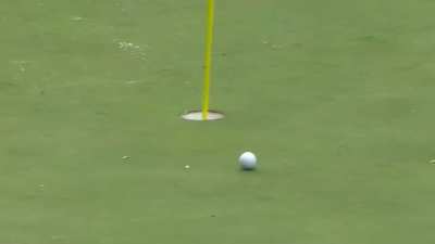 The Precision...