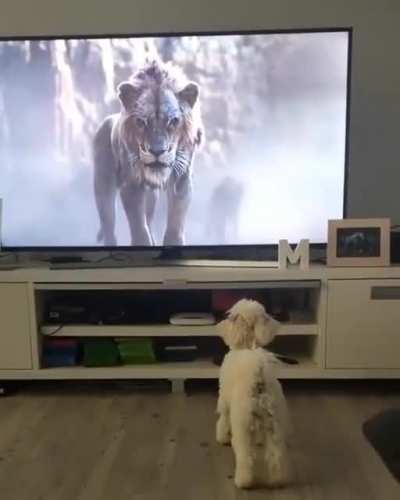 Watch and see