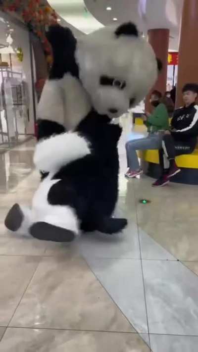 Panda fight with Husky
