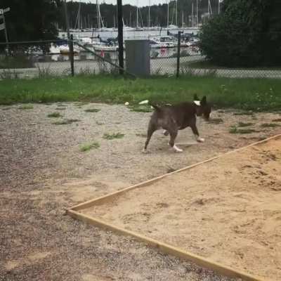Breakdancing.exe
