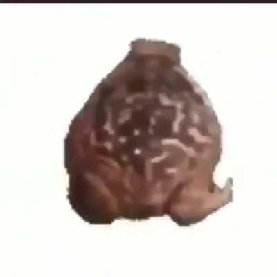 Around the world but its a frog