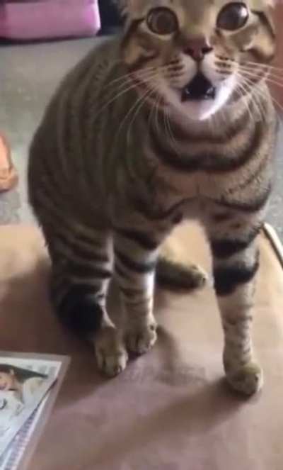 He doesn’t bite, he just takes souls