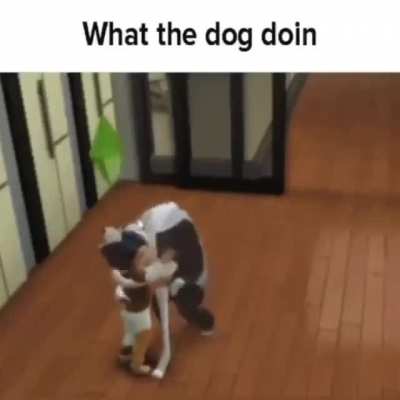 blursed_dog