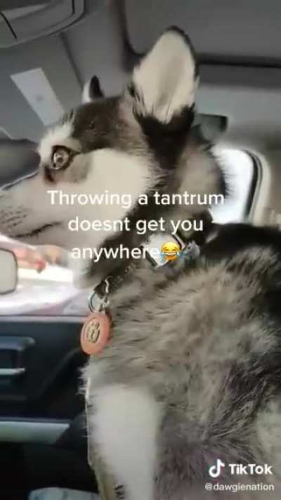 So grumpy!