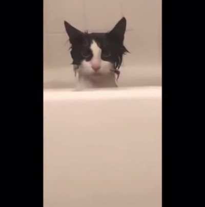 “I’ve been given a bath against my will” *Initiate assassination protocols*