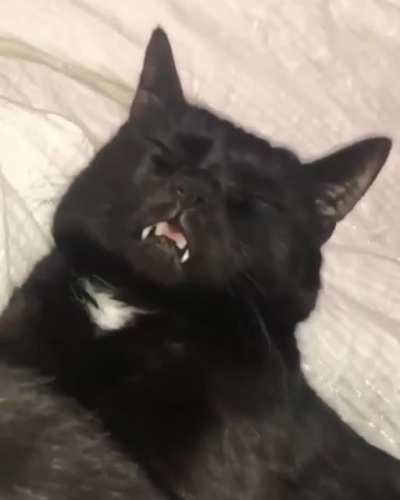 Loud snorer