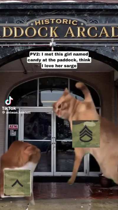 #angrymemereview